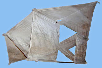 T1333 kite.